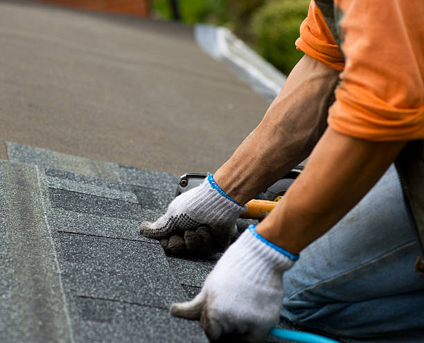 Best Roof Leak Repair  in Shady Spring, WV