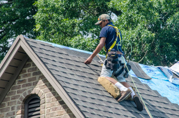 Best Roof Replacement Cost  in Shady Spring, WV
